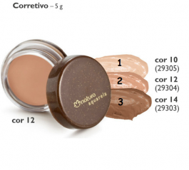 Corretivo